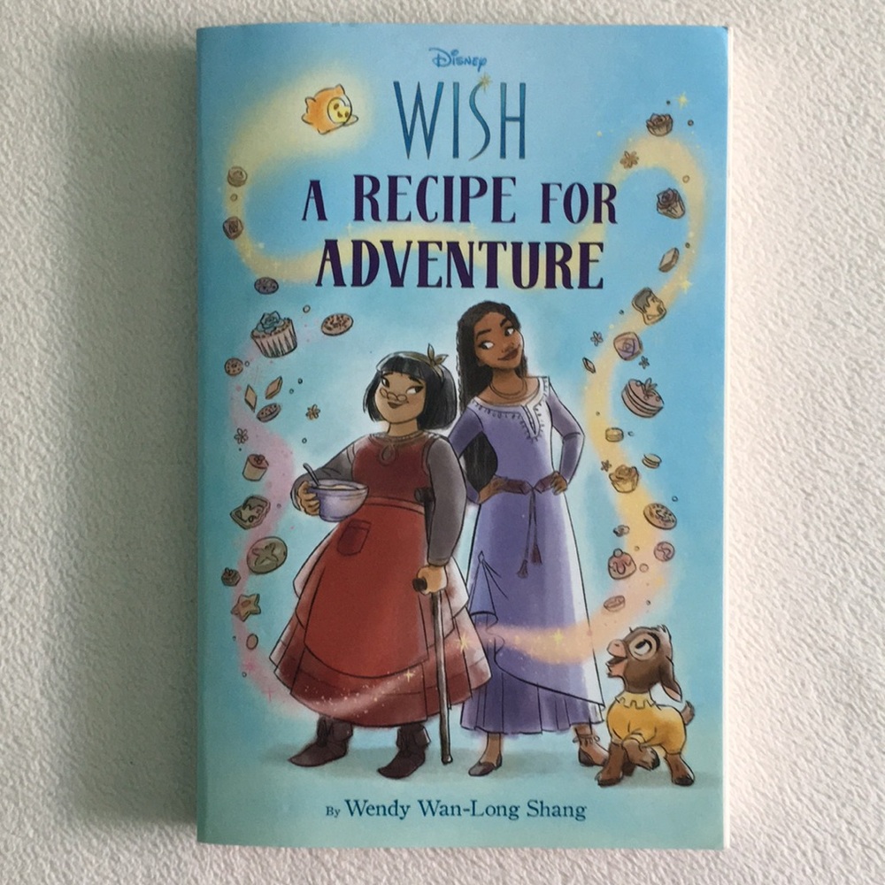 ⭐️ Disney Wish “A Recipe for Adventure” Paperback Book ⭐️